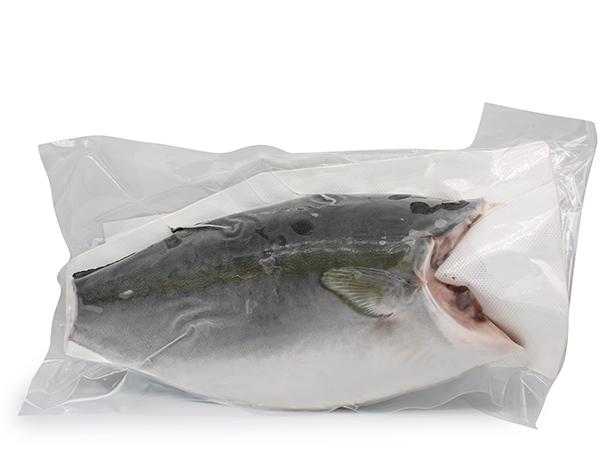 Hamachi Filet Yellowtail, ca 10,5 kg krt, Frys 0